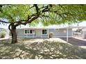 Charming gray house with shade tree, covered carport and desert landscaping at 9733 E Baywood Ave, Mesa, AZ 85208