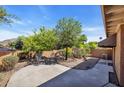 Private backyard patio featuring mature trees, desert landscaping, and a cozy seating arrangement at 1023 E Sahuaro Dr, Phoenix, AZ 85020