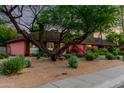 Charming residence with mature landscaping, a large tree, and a cozy, welcoming appearance at 6101 E Thunderbird Rd, Scottsdale, AZ 85254