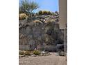 The landscaped backyard features desert plants and gravel, providing a low-maintenance outdoor space at 2233 E Behrend Dr # 211, Phoenix, AZ 85024