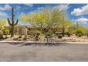 Desert landscaping surrounds the front of this home with a large tree in the front yard at 22469 N 79Th Pl, Scottsdale, AZ 85255