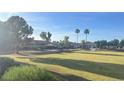 Community park featuring an expansive lawn, playground, palm trees, and walking paths at 2618 S 81St Ln, Phoenix, AZ 85043