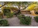 Inviting front yard landscaping with mature trees and a wide driveway to a two-car garage at 29412 N 108Th Pl, Scottsdale, AZ 85262