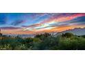 Expansive landscape view showcasing the natural desert vegetation and colorful sunset sky at 39810 N 105Th Way # 128, Scottsdale, AZ 85262