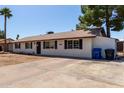 Clean single story home with large front windows and drought tolerant landscaping at 8111 E Jerome Ave, Mesa, AZ 85209
