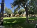 Expansive green space surrounded by trees and homes offers a serene environment at 21166 W Main St, Buckeye, AZ 85396
