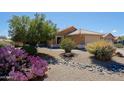 Beautiful home showcasing desert landscaping, a vibrant purple cactus, and mature shade trees at 5049 E Duane Ln, Cave Creek, AZ 85331