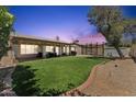 Spacious backyard featuring an outdoor living area, lush turf grass, mature landscaping, and privacy at 14821 N 42Nd St, Phoenix, AZ 85032