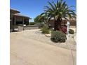 Well-manicured front yard with desert landscaping, decorative rocks, and mature palm trees at 19058 N Aztec Point Dr, Surprise, AZ 85387