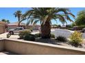 Landscaped front yard features a mature palm tree and colorful shrubbery at 19058 N Aztec Point Dr, Surprise, AZ 85387