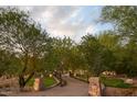 Long private driveway through mature trees leading to the home at 7525 N Shadow Mountain Rd, Paradise Valley, AZ 85253