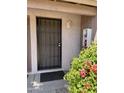 Front entrance with security door and fire extinguisher at 1750 E Mateo Cir # 106, Mesa, AZ 85204