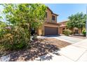 Beautiful two-story home with desert landscaping, a concrete driveway, and large trees at 4061 E Torrey Pines Ln, Chandler, AZ 85249
