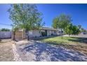 Ranch-style home with mature trees, a gravel driveway, and brick-lined garden area at 5038 N 20Th Ave, Phoenix, AZ 85015