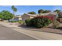 Street view of a single-story home with desert landscaping along the sidewalk at 5353 W Dublin Ct, Chandler, AZ 85226