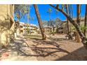 Attractive community area featuring lush landscaping, shaded seating, and inviting walkways, enhancing the outdoor experience at 1331 W Baseline Rd # 120, Mesa, AZ 85202