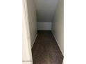Under stair storage area with carpeted floor at 9556 W Blue Sky Dr, Peoria, AZ 85383