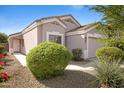 Inviting single-level home with a neatly kept yard and a welcoming front entrance at 12443 W Via Camille --, El Mirage, AZ 85335