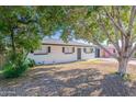 Charming single story home with low maintenance front yard and mature tree at 1325 W 7Th Ave, Mesa, AZ 85202