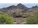 Picture of mountain landscaping in desert community at 1720 E Thunderbird Rd # 2087, Phoenix, AZ 85022