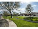 Picturesque neighborhood featuring lush green lawns, mature trees, and well-maintained sidewalks for peaceful living at 7614 E Cactus Wren Rd, Scottsdale, AZ 85250