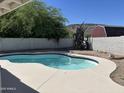 Backyard pool with white concrete deck, set against block wall and lush greenery at 1423 W Joan De Arc Ave, Phoenix, AZ 85029