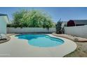 Backyard pool is surrounded by landscaping and desert plants at 1423 W Joan De Arc Ave, Phoenix, AZ 85029