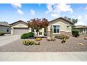 Inviting home featuring desert landscaping with cacti, shrubs, and a decorative stone accent at 20140 N 269Th Dr, Buckeye, AZ 85396