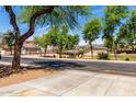 View of a well-maintained neighborhood featuring green spaces, a playground, and beautiful mature trees at 22745 W Cocopah St, Buckeye, AZ 85326