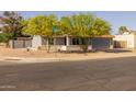 Corner lot home with desert landscaping and mature trees, offering curb appeal and natural beauty at 300 E Moore Ave, Gilbert, AZ 85234