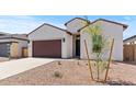 Attractive single-story home with stucco siding, a two-car garage, and a low-maintenance yard with a young tree at 537 E Aurora Dr, San Tan Valley, AZ 85140
