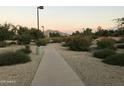 Scenic community pathway with lush landscaping, providing a tranquil walking experience at 6191 S Pearl Dr, Chandler, AZ 85249