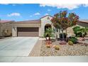 Attractive house showcasing well-maintained landscaping with colorful flowering plants and a wide concrete driveway at 26456 W Cat Balue Dr, Buckeye, AZ 85396