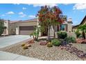 Beautiful single-Gathering home featuring desert landscaping with cacti, a tree with red flowers, and a spacious driveway at 26456 W Cat Balue Dr, Buckeye, AZ 85396