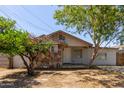 Charming single-story home with a stone facade, light siding and drought tolerant landscaping at 452 S Horne --, Mesa, AZ 85204