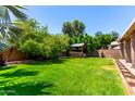Large backyard with mature trees, grassy area, and covered hot tub at 13213 W Jacobson Dr, Litchfield Park, AZ 85340