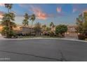 Charming neighborhood street featuring well-maintained homes, mature palm trees, and lush landscaping at 1356 E Flamingo Ct, Gilbert, AZ 85297