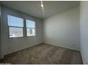 Bright bedroom with plush carpet, large windows and neutral walls at 47230 W Cansados Rd, Maricopa, AZ 85139