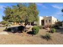 Landscaped front yard featuring desert vegetation, a mature shade tree, and a stucco-style home in the background at 1554 E Kings Ct, Gilbert, AZ 85234