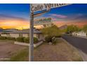 A charming street view showcasing lush landscaping around the home with mountain views at 4596 E Calle Ventura --, Phoenix, AZ 85018