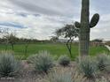 Expansive green space featuring desert landscaping, walking paths, and desert plants at 7703 W Saddlehorn Rd, Peoria, AZ 85383