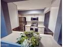 Updated kitchen features stainless steel appliances and quartz countertops at 7903 N 61St Ave, Glendale, AZ 85301