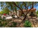 Charming home with desert landscaping featuring multiple desert plants and large shade tree at 19963 N Window Rock Dr, Surprise, AZ 85374