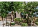 Charming home with mature trees and colorful shrubbery at 23068 E Stacey Rd, Queen Creek, AZ 85142