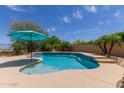 Sparkling pool featuring a Baja shelf and privacy landscaping at 2701 N Black Rock Rd, Buckeye, AZ 85396