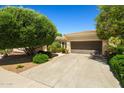 Single-story home featuring a well-manicured lawn, mature trees, and a driveway leading to the garage at 13134 W Los Bancos Ct, Sun City West, AZ 85375