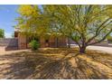 Single-story home with mature tree adding shade and character at 525 N 94Th Way, Mesa, AZ 85207