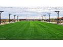 Expansive community green space with string lights, perfect for relaxing and community events at 3936 E San Jose St, San Tan Valley, AZ 85143