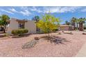 A front yard showcases desert landscaping featuring rocks and yellow flowering tree at 4803 W Harmont Dr, Glendale, AZ 85302