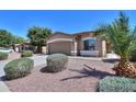 Tan home with well maintained desert landscaping including several decorative bushes and a palm tree at 1983 W Allens Peak Rd, Queen Creek, AZ 85144